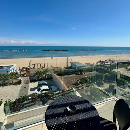 Palms * Pesaro
